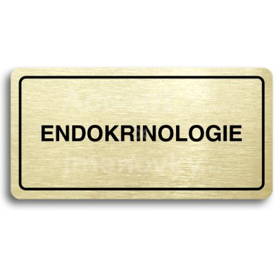 ACCEPT Piktogram ENDOKRINOLOGIE - zlatá tabulka - černý tisk – Hledejceny.cz