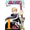 Bleach 1: the Death and the Strawberry - Tite Kubo