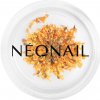 Zdobení nehtů Neonail Dried Flowers sušený květ na nehty odstín Orange 1 ks