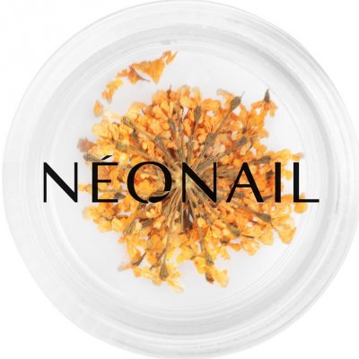 Neonail Dried Flowers sušený květ na nehty odstín Orange 1 ks – Zboží Mobilmania