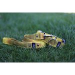 Sweet Energy.cz Sweet obojek No. – Zboží Mobilmania