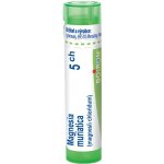MAGNESIA MURIATICA POR 5CH GRA 1X4G – Hledejceny.cz