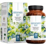 Naturtreu Dobré myšlenky Ginkgo ženšen a Bacopa monnieri na zlepšení paměti 90 kapslí – Hledejceny.cz