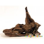 Decor Wood Kořen DriftWood Bulk SS 19-23 cm – Hledejceny.cz