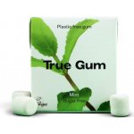 True gum máta 21 g – Zboží Dáma