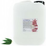 PM Aqualog esence do parních kabin eukalyptus 818-005/D 5 l – Hledejceny.cz