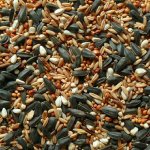 Avicentra Směs do krmítek 5 kg – Hledejceny.cz