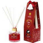 Arôme Holiday Time Apple & Cinnamon Reed Diffuser 100 ml – Sleviste.cz