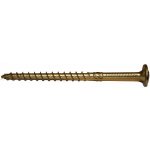 Vruty RAPI-TEC SK 10x160mm talířová hlava TX50 galvanický zinek – Hledejceny.cz