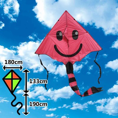 D&P lietajúci veľký Smajl fialový – Hledejceny.cz