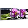 Obraz Obraz 3D třídílný - 150 x 50 cm - Oriental spa with orchid with and green plant on zen stones Orientální lázně s orchidejem a zelenou rostlinou na zenových kamenech