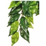 Hagen Exo Terra rostlina Ficus malá 45 cm – Hledejceny.cz