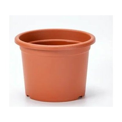 obal d35cm Narcis TER – Hledejceny.cz