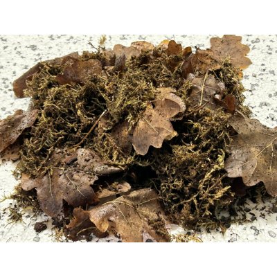 Ortisgreen Sphagnum Moss 250 g – Hledejceny.cz