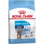 Royal Canin Maxi Adult Sterilised 2 x 12 kg – Hledejceny.cz
