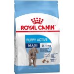 Royal Canin Maxi Junior 2 x 15 kg – Hledejceny.cz