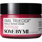 Some By Mi Snail Truecica Miracle Repair Cream 60 ml – Zboží Mobilmania