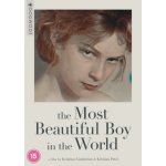 The Most Beautiful Boy In The World DVD – Hledejceny.cz