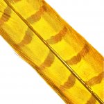 Hends Ocasní Pero z Bažanta Pheasant Tail Golden Yellow – Hledejceny.cz