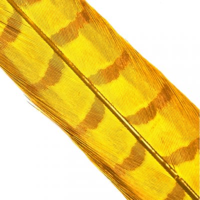 Hends Ocasní Pero z Bažanta Pheasant Tail Golden Yellow – Hledejceny.cz