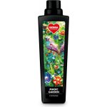 Dedra avivážní kondicionér magic garden 750 ml – Hledejceny.cz