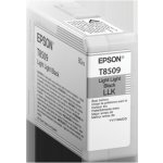 Epson C13T850900 - originální – Hledejceny.cz