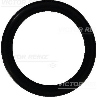 VICTOR REINZ Tesnici krouzek 40-76473-00 – Zboží Mobilmania