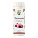 Salvia Paradise Echinacea třapatka standardizovaný extrakt 60 kapslí – Hledejceny.cz