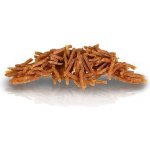KidDog BUFFET LOLLIPOP lízátko s kuřecím masem a sýrem 9 cm 8 g 100 ks – Hledejceny.cz