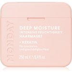 MONDAY Moisture intenzivní hydratační maska pro suché vlasy 250 ml – Sleviste.cz