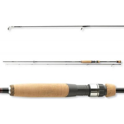 Daiwa Team Mode XT 1,98 m 2-10 g 2 díly – Hledejceny.cz