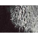 Daniel Smith Akvarelová barva 15ml 049 Lunar Black – Sleviste.cz