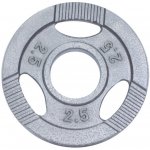 Gorilla Sports litina 2,5 kg 185 mm – Hledejceny.cz