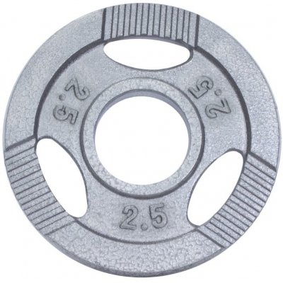 Gorilla Sports litina 2,5 kg 185 mm – Hledejceny.cz