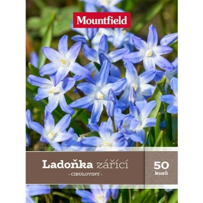 Ladoňka zářicí 50 ks – Hledejceny.cz