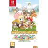 Hra na Nintendo Switch Story of Seasons: Friends of Mineral Town