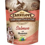 Carnilove Puppy Paté Salmon with Blueberries 300 g – Hledejceny.cz