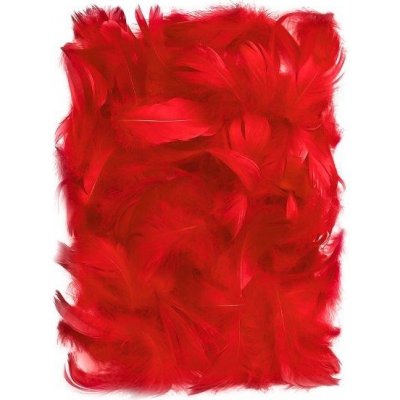 DP Craft Peří červené 10 gr. 5-12 cm – Hledejceny.cz