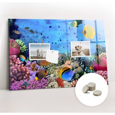 tulup Magnetická Tabule na Zeď Skleněná - Memo Board Kleněnou Přední Stranou - 5 magnetů v balení - 60 x 40 cm - Podmořský život