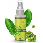 Saloos Litsea cubeba osvěžovač vzduchu 50 ml – HobbyKompas.cz