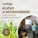Klíčky a microgreens 2. část: od 12:00 do 14:30 – Hledejceny.cz