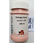 Daily Art Křídová barva Pouštní růže Vintage 100 ml – Zboží Dáma Daily Art Křídová barva Pouštní růže Vintage 100 ml – Zboží Dáma