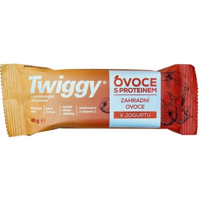 Twiggy Proteinová tyčinka 40 g – Hledejceny.cz
