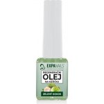 EXPA nails Cuticle Oil Green Coconut regenerační olejíček na kůžičku Zelený kokos 5 ml – Hledejceny.cz