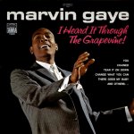 I Heard It Through The Grapevine - Marvin Gaye LP – Hledejceny.cz