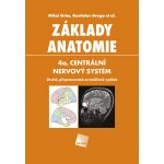 Základy anatomie 4a - Centrální nervový systém – Hledejceny.cz