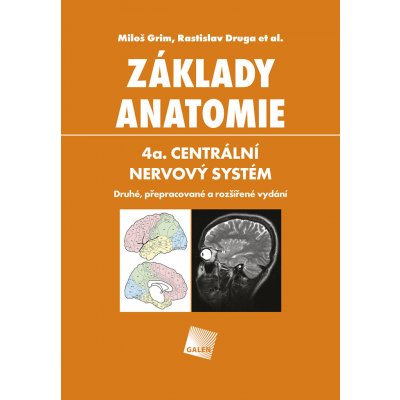 Základy anatomie 4a - Centrální nervový systém – Zbozi.Blesk.cz