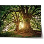 Sablio Plakát Stromy - 120x80 cm – Hledejceny.cz