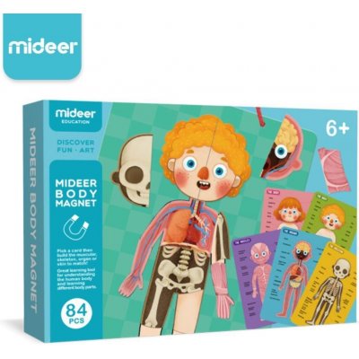 MiDeer magnetická tabulka Moje tělo – Zboží Dáma