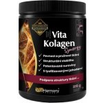 VitaKolagen Synergy 315 g – Hledejceny.cz